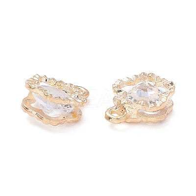 Alloy Clear Cubic Zirconia Charms LS-ZIRC-A022-06G-1