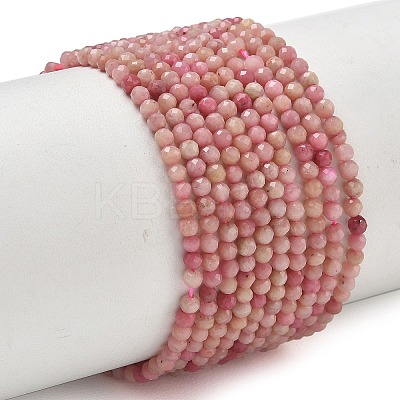 Natural Rhodonite Beads Strands X-G-P553-G06-01-1