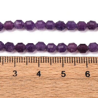 Natural Lepidolite/Purple Mica Stone Beads Strands G-A260-A04-01-1