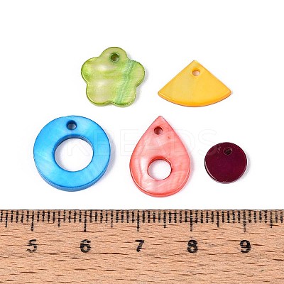 Dyed Natural Freshwater Shell Pendants and Links Kits SHEL-T020-57-1