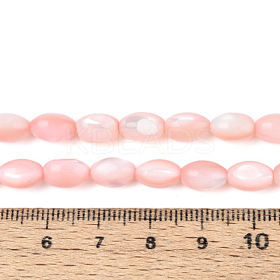 Natural Trochus Shell Beads Strands SHEL-K006-19-01F-1