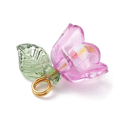 Transparent Acrylic Beads Pendants PALLOY-JF02432-1