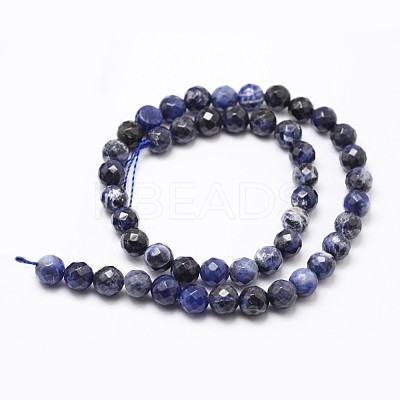 Natural Sodalite Beads Strands X-G-D840-19-8mm-1