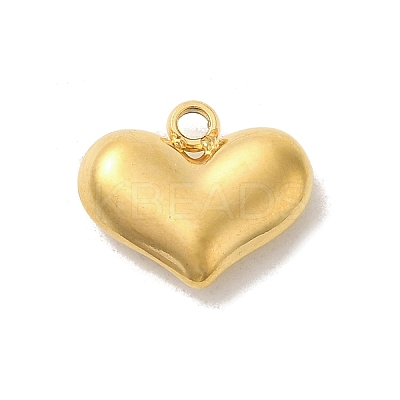 Ion Plating(IP) 304 Stainless Steel Charms STAS-S131-12G-1
