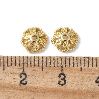 Flower Brass Bead Caps KK-F892-34G-10-1