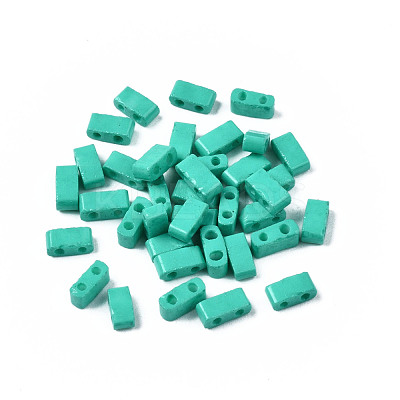 2-Hole Baking Paint Glass Seed Beads SEED-S023-17B-05-1