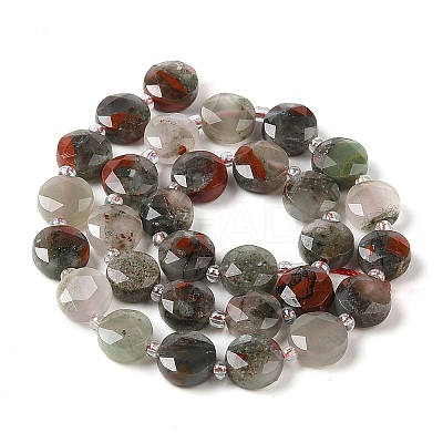 Natural Bloodstone Bead Strands G-C116-A06-01-1
