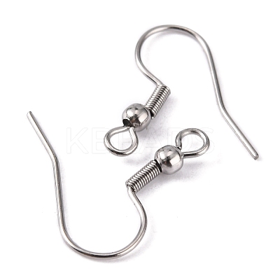 Tarnish Resistant 316 Surgical Stainless Steel Earring Hooks STAS-O032-01-1