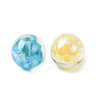 Transparent Resin & Natural Shell Beads X-RESI-B039-07-1