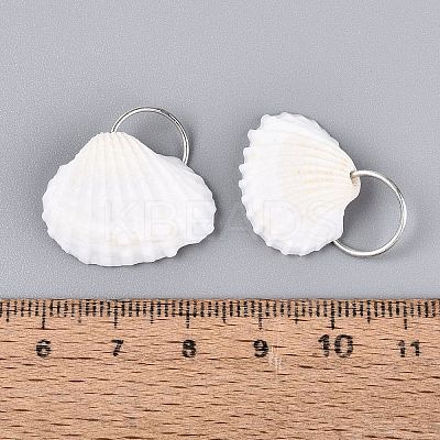 Natural Shell Pendants SHEL-Q028-03-1