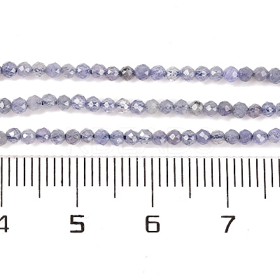Natural Tanzanite Beads Strands G-F770-C04-03-1