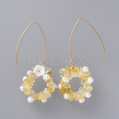 Chip Natural & Synthetic Gemstone Dangle Earrings EJEW-JE03977-1