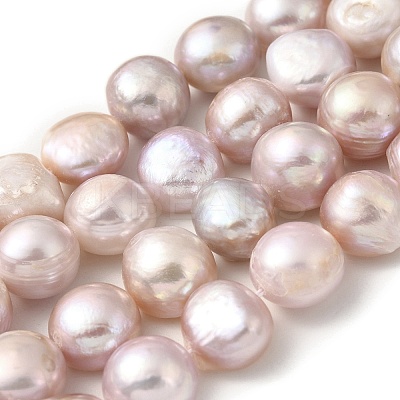 Natural Cultured Freshwater Pearl Beads Strands PEAR-A006-13D-X-1
