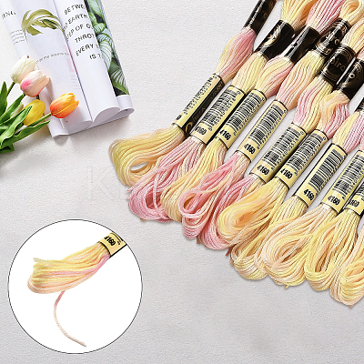 10 Skeins 6-Ply Polyester Embroidery Floss OCOR-CY0002-99G-1