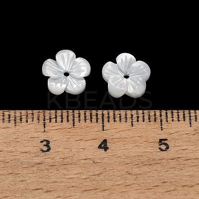 Natural White Shell Beads SH-CBA93AD-07C-1