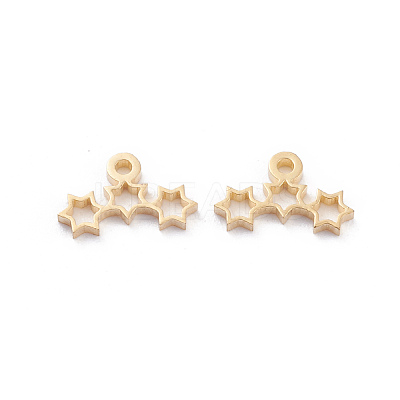 304 Stainless Steel Charms STAS-I151-12G-1