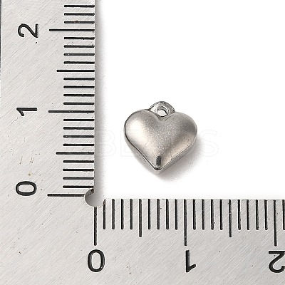 Non-Tarnish 304 Stainless Steel Pendants STAS-R223-02K-1