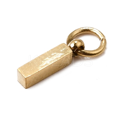 304 Stainless Steel Charms SA-CBABF3F-01G-I-1