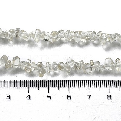 Natural Supper 7 Rutilated Quartz Chip Beaded Necklaces for Men Women NJEW-G159-01C-1