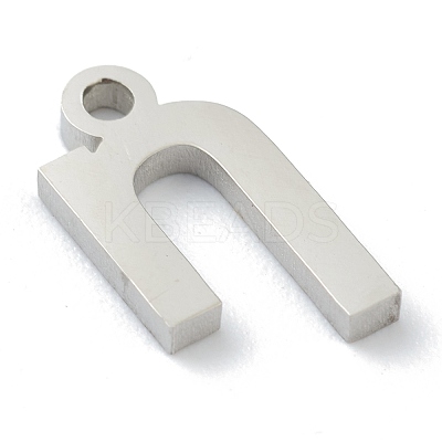 Non-Tarnish 304 Stainless Steel Charms STAS-G244-01H-1
