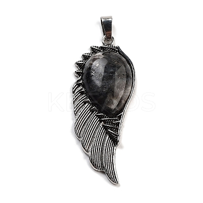 Natural Larvikite Big Pendants G-G112-02AS-06-1