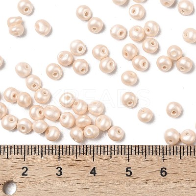 6/0 Glass Seed Beads SEED-L011-08A-24-1