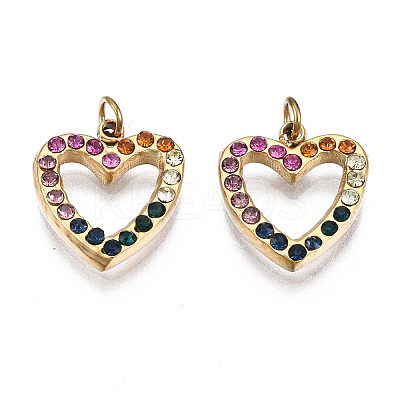 316 Surgical Stainless Steel Charms LS-STAS-N097-006-1