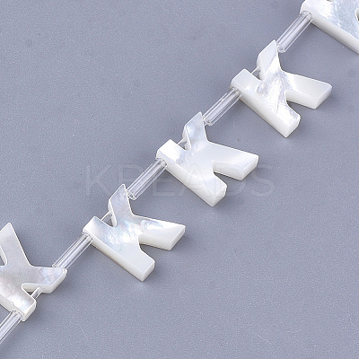 Sea Shell Beads LS-X-SHEL-T012-60K-1