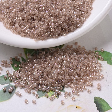 MIYUKI Delica Beads X-SEED-J020-DB0069-1