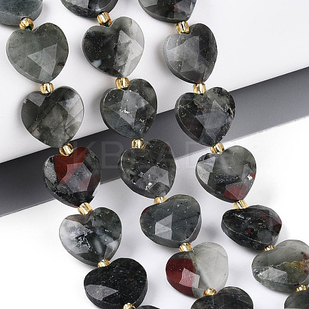 Natural African Bloodstone Beads Strands G-P592-B07-01-1