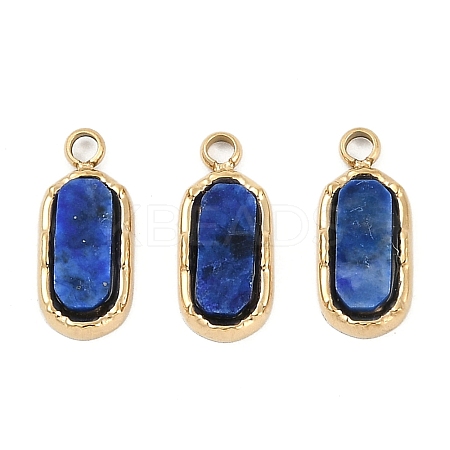 Natural Lapis Lazuli Rectangle Charms STAS-I325-141A-G-1