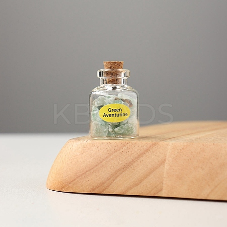 Mini Natural Green Aventurine Chips Bottles Sets G-PW0007-139F-1