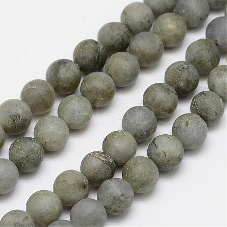 Natural Labradorite Frosted Bead Strands G-O155-04A-6mm-1