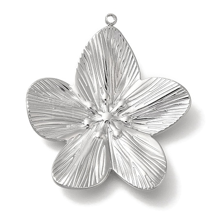 Anti-Tarnish 304 Stainless Steel Pendants LS-STAS-Z092-05P-1