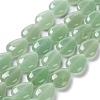 Natural Green Aventurine Beads Strands G-L242-22-1