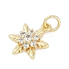 Rack Plating Brass Micro Pave Cubic Zirconia Pendants LS-KK-H509-12G-02-2