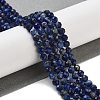 Natural Sodalite Beads Strands G-B088-C03-04-2