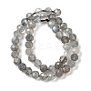 Natural Labradorite Beads Strands G-H336-A08-05-3