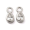 Real Platinum Plated Rhodium Plated 925 Sterling Silver Charms STER-K176-03D-P-2