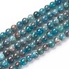 Natural Apatite Beads Strands LS-G-L554-01-4mm-1