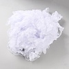 Polyester Pleated Lace Trim OCOR-WH0082-261C-2