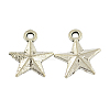 Alloy Star Pendants LS-TIBEP-23849-AS-NR-1