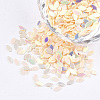 Shining Nail Art Glitter LS-MRMJ-T017-01L-1