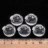 Transparent Acrylic Pendants LS-TACR-T024-05B-205-4