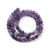 Natural Lepidolite/Purple Mica Stone Beads Strands G-E545-01A-2
