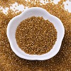 MIYUKI Delica Beads SEED-X0054-DB0065-2