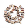 Natural Aqua Terra Jasper Beads Strands G-T140-64-2