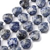 Natural Blue Spot Jasper Beads Strands G-P570-E19-02-2