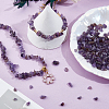2 Strands Natural Amethyst Chip Beads Strands G-PA0001-57-4