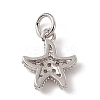 Brass Micro Pave Cubic Zirconia Charms LS-ZIRC-F132-13P-2